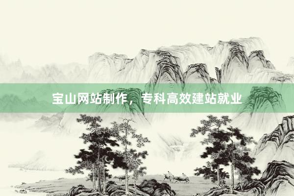 宝山网站制作，专科高效建站就业